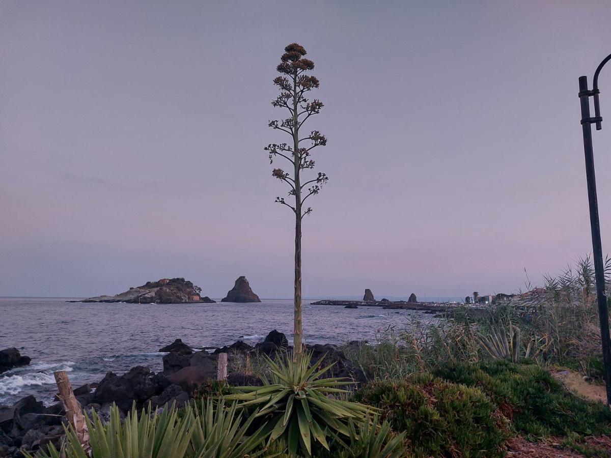 Stella Di Mare Διαμέρισμα Aci Castello Εξωτερικό φωτογραφία